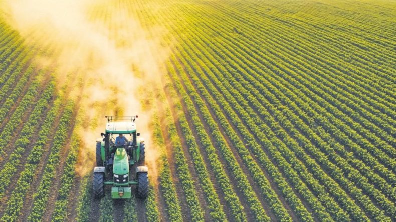 Aşırı Sıcaklar Tarımı Vuruyor