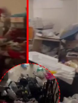 Avcılar’da Aynı Aileye Ait 4 Daireden 3 Kamyon Dolusu Çöp Çıktı: İşte Şaşkına Çeviren Görüntüler!