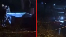 Aydın&rsquo;da korkun&ccedil; kaza! Trenin &ccedil;arptığı yaşlı adam feci şekilde can verdi