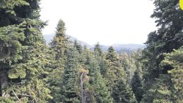 Baharda Yağmur Bereketi