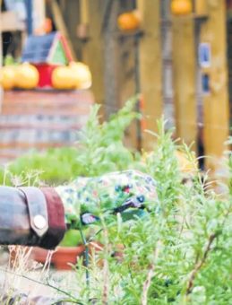 Bah&ccedil;e İşleri Ruha İyi Geliyor