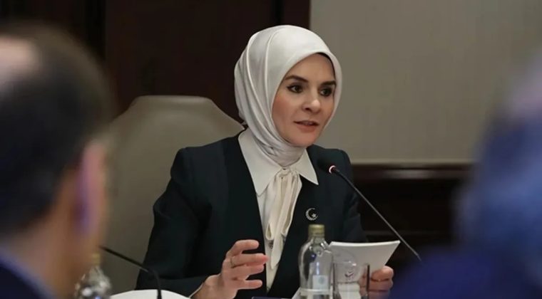 Bakan G&ouml;ktaş'tan Kahramanmaraş'taki okul saldırısına ilişkin a&ccedil;ıklama