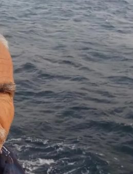 Balık&ccedil;ı Mesut &Ccedil;etin'i arama &ccedil;alışmaları s&uuml;r&uuml;yor