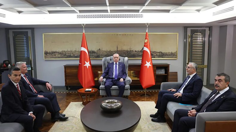 Başkan Erdoğan, OECD Genel Sekreteri Cormann'ı Kabul Etti