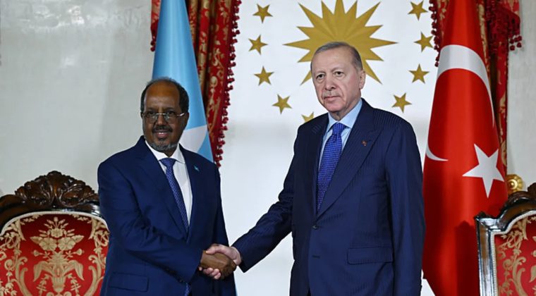 Başkan Erdoğan, Somali Cumhurbaşkanı Mahmud ile g&ouml;r&uuml;şt&uuml;