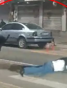 Batman'da Yaban Domuzu Saldırısı: 3 Yaralı