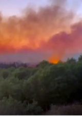Beykoz ve &Ccedil;atalca&rsquo;da Korkutan Yangın