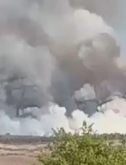 Beykoz'da Ormanlık Alanda Yangın!