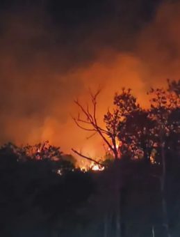 Beykoz'daki Orman Yangını: Alevler R&uuml;zgarın Etkisiyle Yeniden Y&uuml;kseldi
