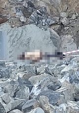 Bir G&uuml;n &Ouml;nce İşe Başlamıştı: Feci Kazada Hayatını Kaybetti!