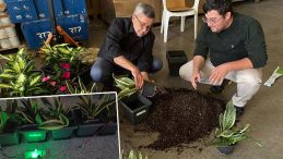 Bitkilerden &uuml;retildi: 25 metrekarelik alana yetiyor! 'Oğlumun sorduğu bir soruyla her şey başladı'