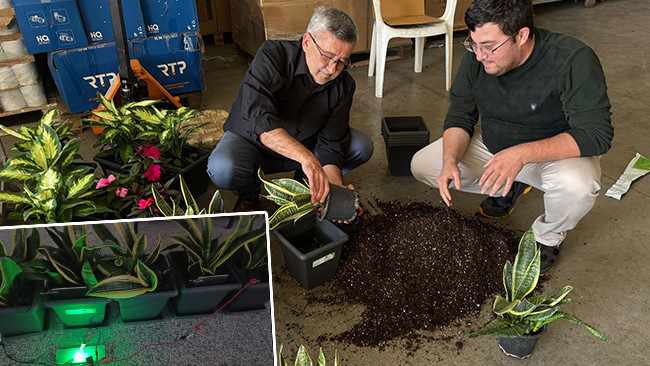 Bitkilerden &uuml;retildi: 25 metrekarelik alana yetiyor! 'Oğlumun sorduğu bir soruyla her şey başladı'