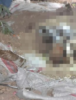 Bodrum'daki '&ccedil;uval' cinayetinde flaş: Ortaya &ccedil;ıkan detaylar kan dondurdu!