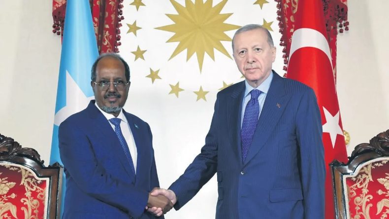 &Ccedil;ağrı Bey, Somali ile İşbirliğinin Sembol&uuml;