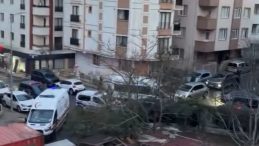 &Ccedil;ekmek&ouml;y&rsquo;de aile faciası: Annesi ve abisini katletti! 2 &ouml;l&uuml; 1 yaralı&hellip;
