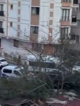 &Ccedil;ekmek&ouml;y&rsquo;de aile faciası: Annesi ve abisini katletti! 2 &ouml;l&uuml; 1 yaralı&hellip;