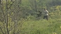 &Ccedil;evredekilerin Tepkilerine Aldırış Etmedi! Avcılar'da K&ouml;peğe Şiddet Kamerada… Ş&uuml;pheli Aranıyor