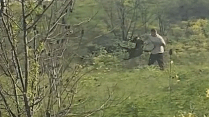 &Ccedil;evredekilerin Tepkilerine Aldırış Etmedi! Avcılar'da K&ouml;peğe Şiddet Kamerada… Ş&uuml;pheli Aranıyor