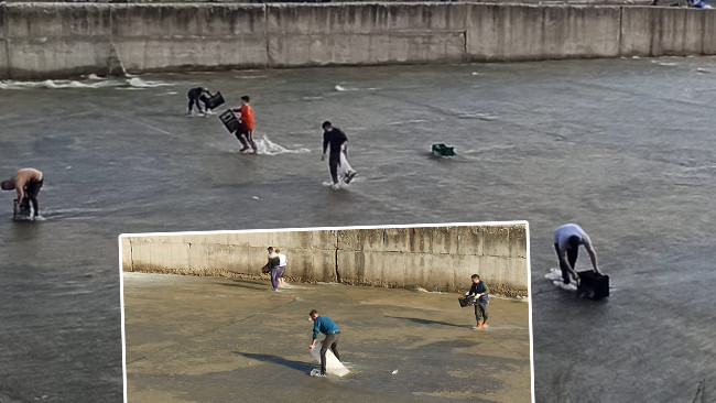 Çizmelerle Suya Girdiler: Çuval ve Kasalarla Balık Topladılar!