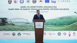 Cumhurbaşkanı Yardımcısı Cevdet Yılmaz: Ter&ouml;r&uuml;n G&uuml;ndemden D&uuml;şt&uuml;ğ&uuml; D&ouml;nemde T&uuml;m T&uuml;rkiye Kazanacak
