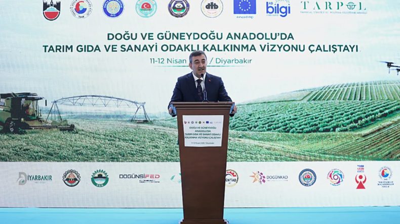 Cumhurbaşkanı Yardımcısı Cevdet Yılmaz: Terörün Gündemden Düştüğü Dönemde Tüm Türkiye Kazanacak