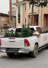 Dairesinde uyuşturucu yetiştiren ş&uuml;pheli yakalandı!