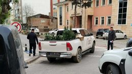 Dairesinde uyuşturucu yetiştiren ş&uuml;pheli yakalandı!