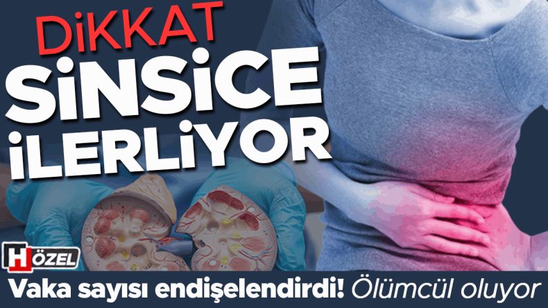 Dikkat: Sincisi ilerliyor! Artan vaka sayısı endişelendirdi&hellip; Belirtileri neler, kimler risk altında?