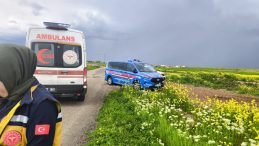 Diyarbakır'da Kaybolan 3 Yaşındaki Yazg&uuml;l Kaya İ&ccedil;in Arama &Ccedil;alışması Başlatıldı