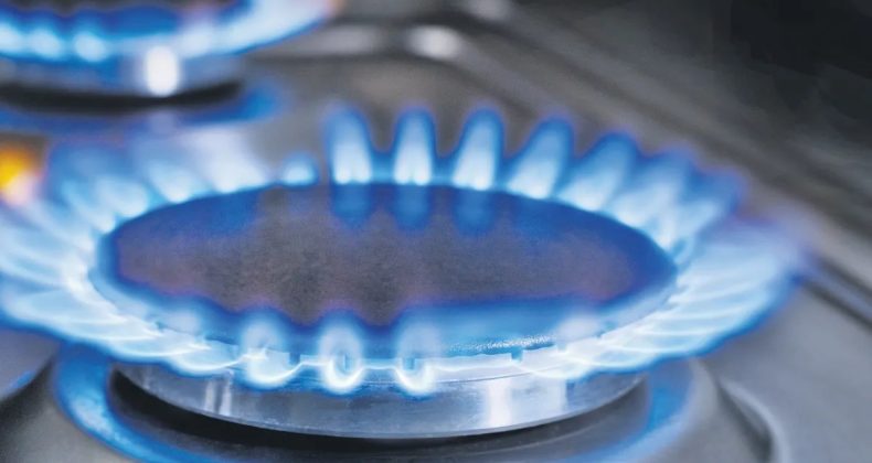 Doğalgazda kademeli faturalar mayısta gelecek