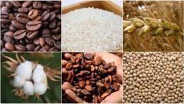 Enflasyon korkusu s&uuml;r&uuml;yor: Değerli metallerde negatif seyir! G&ouml;zler merkez bankalarında&hellip;