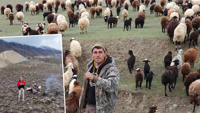 Erzurumlu &Ccedil;oban, S&uuml;r&uuml;s&uuml;n&uuml; Toplamak İ&ccedil;in Farklı Bir Y&ouml;ntem Kullandı