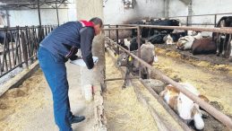Ette fiyat manip&uuml;lasyonuna operasyon: 30 kişi g&ouml;zaltına alındı