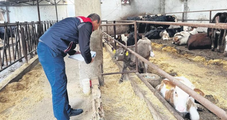 Ette fiyat manip&uuml;lasyonuna operasyon: 30 kişi g&ouml;zaltına alındı