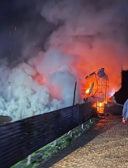 Evinde yalnız yaşayan kadın yangında can verdi