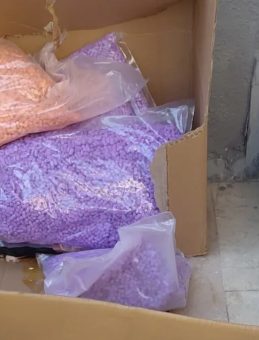 Ey&uuml;psultan&rsquo;da dev uyuşturucu operasyonu: 71 Bin 650 adet extacy ele ge&ccedil;irildi