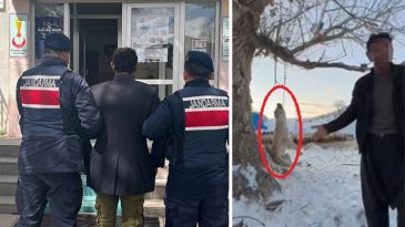 Fazla Yediği İ&ccedil;in K&ouml;peği Katleden Kişi Tutuklandı