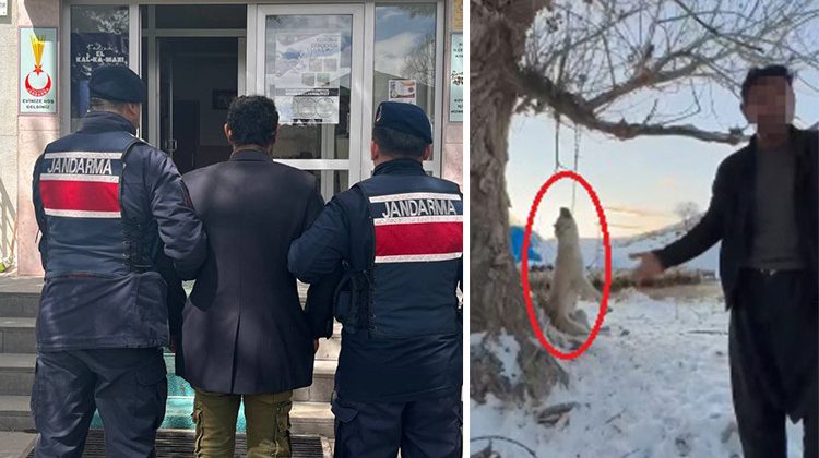 Fazla Yediği İ&ccedil;in K&ouml;peği Katleden Kişi Tutuklandı