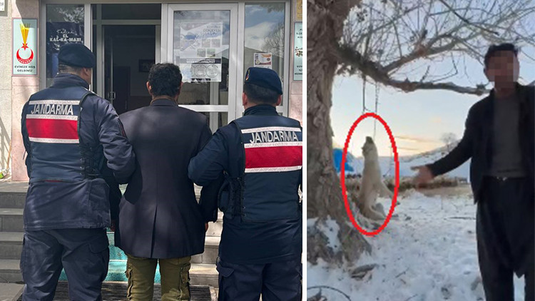 Fazla Yediği İ&ccedil;in K&ouml;peği Katleden Kişi Tutuklandı