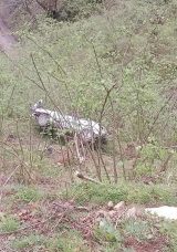 Fındık bah&ccedil;esine devrilen otomobilin s&uuml;r&uuml;c&uuml;s&uuml; hayatını kaybetti