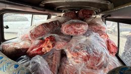 Gaziantep'te Mide Bulandıran G&ouml;r&uuml;nt&uuml;: 1.6 Ton Sakatat İmha Edildi