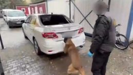 Gizli B&ouml;lmeden Kokain &Ccedil;ıktı: Polis K&ouml;peğini Ge&ccedil;emediler!