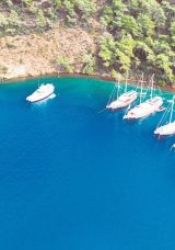 G&ouml;cek Koylarını Koruma Hamlesi
