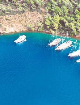 Göcek Koylarını Koruma Hamlesi