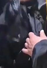 G&uuml;mr&uuml;ğe Giren Yolcu Otob&uuml;s&uuml;nde 1 Milyon 40 Bin Lira Ele Ge&ccedil;irildi!