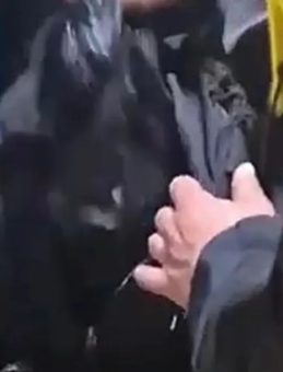 G&uuml;mr&uuml;ğe Giren Yolcu Otob&uuml;s&uuml;nde 1 Milyon 40 Bin Lira Ele Ge&ccedil;irildi!