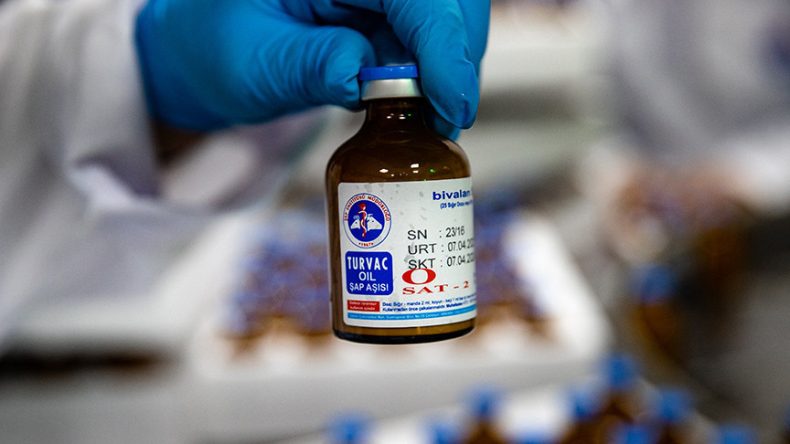 G&uuml;ney Afrika, şap salgınına karşı T&uuml;rkiye'den 2 milyon doz aşı temin etti