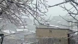 Hakkari beyaza b&uuml;r&uuml;nd&uuml;