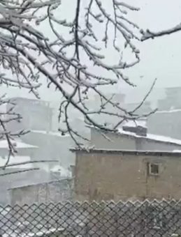 Hakkari beyaza b&uuml;r&uuml;nd&uuml;