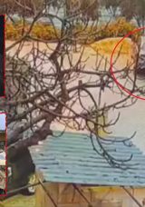 Hatay&rsquo;da korkutan yangın! Aracını kundaklayan yeğeni &ccedil;ıktı: O anlar kameraya yansıdı